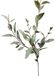 Merkloos / Sans marque Roberts Collection Kunsttak Eucalyptus Spray Fijn 85cm Groen