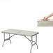 Holland Connections Table de camping Pliant - Gris - 150 x 60cm - Aluminium & MDF
