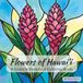 Flowers of Hawaii: A Tropical Botanical Coloring Book