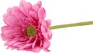 DK Design Gerbera Kunstbloem - 72cm - Fuchsia Roze - Real Touch