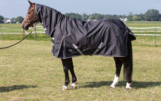 Harry's Horse Thor Stretch Limo Regendeken - 145cm