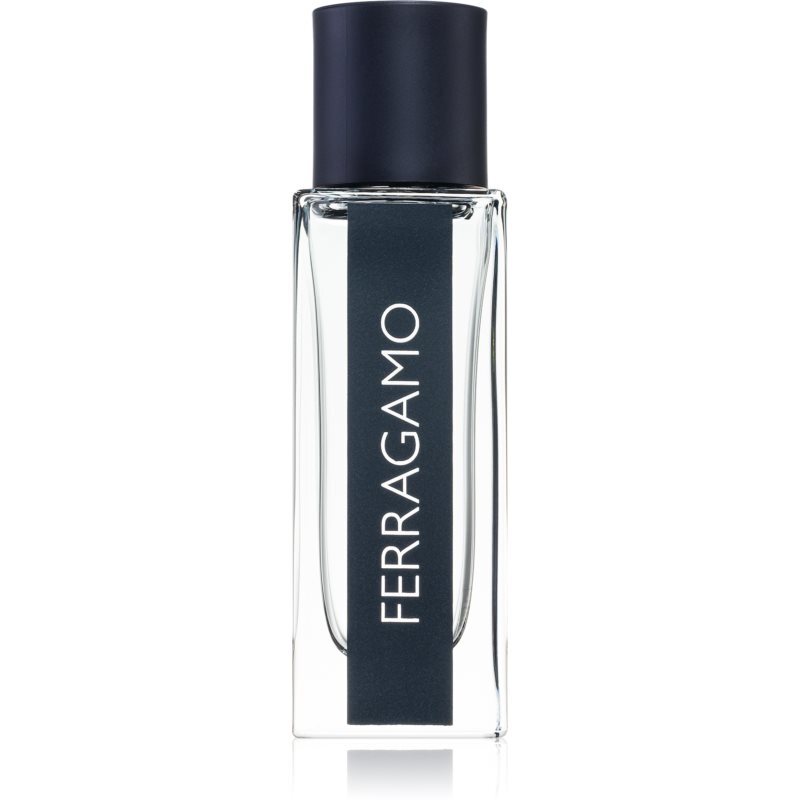 Salvatore Ferragamo Ferragamo eau de toilette / heren