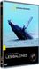 ONE PLUS ONE DISTRIBUTION Panique Chez Les Baleines FR