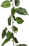 Sans marque Plante grimpante lierre - Hedera helix - 180 cm - vert - plante artificielle