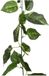 Sans marque Plante grimpante lierre - Hedera helix - 180 cm - vert - plante artificielle
