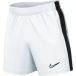 Nike Short Dri-FIT Academy 2023 BR
