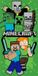 Minecraft Serviette de plage Survive 70 x 140 cm vert