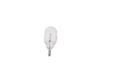 Bosch Automotive Gloeilamp 1987302249