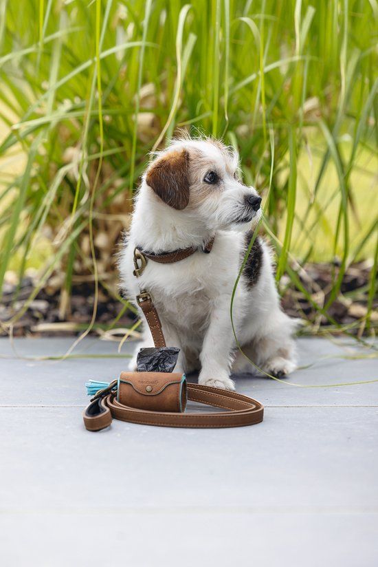 Beeztees Balacron Poepzakhouder Ot - Hond - Kunstleer - Bruin - Incl. 20 Zakjes
