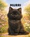 Murri