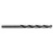 Tivoly Foret Altaïs Queue Cylindrique-35