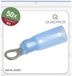 Quadrios 23C521 Ringkabelschoen Dwarsdoorsnede (max.): 2.5 mm² Schachtdiameter: 4.3 mm Deels geïsoleerd Blauw 50 stuk(s)