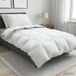 vidaXL - Ensemble de couette en duvet d'oie FULDA - 135 x 220 cm - Blanc