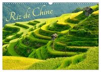 Riz Calvendo Riz de Chine (Calendrier mural 2027 DIN A3 vertical)