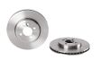 Brembo 09.A761.10 Remschijven - Paar