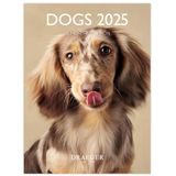 Draeger Paris Kleine Wandkalender 2025