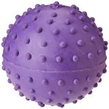 Klassiek voor Honden Rubber Puistje Bal met Bell, Large - 60mm, Paars