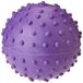 Klassiek voor Honden Rubber Puistje Bal met Bell, Large - 60mm, Paars