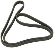 Dayco 6DPK1698 V-geribbelde riem.