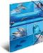 HERMA 19221 map A3 Karton Multi kleuren
