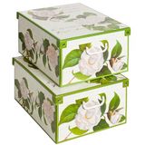 Kanguru Collection doos, karton, meerkleurig, 50 x 39 x 24 cm, 2 stuks