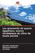 Les Editions Notre Savoir Les gisements de quartz égyptiens, source stratégique de silice de haute pureté