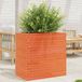 Maison Exclusive - Pot de fleurs pour le jardin, brun foncé, 70x40x68,5 cm, bois de pin massif
