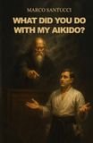 What Aikido What did you do with my Aikido?
