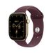 Apple Watch Series 12 42 mm Or Titane