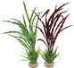 Sydeco Kunststofplant Atol Grass 40 cm Gekleurd