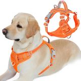 BARKBAY Anti-trek hondenharnas voorclip robuuste reflecterende eenvoudige handgreep voor grote honden uitlaten met ID-tag zak (oranje, L)