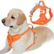 BARKBAY Anti-trek hondenharnas voorclip robuuste reflecterende eenvoudige handgreep voor grote honden uitlaten met ID-tag zak (oranje, L)