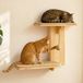Merkloos Kattenrek van hout met 2 niveaus - Klim- en speelruimte