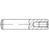 TOOLCRAFT 144925 Cilindrische pen (Ø x l) 40 mm x 80 mm M20 Staal 1 stuk(s)
