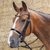 HKM Stang en Trens Hoofdstel Grace-Full - Kwaliteitsleer, Zwart, Met Zachte Padding