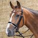 HKM Stang en Trens Hoofdstel Grace-Full - Kwaliteitsleer, Zwart, Met Zachte Padding