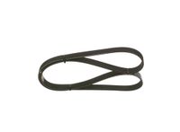 Spidan 1 987 946 103 V-ribriem