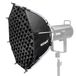 NEEWER 55 cm achthoekige softbox, Quick Release Bowens Mount Softbox met Honingraat Grid, Lichtdiffusers, Tas voor RGB CB60 CB60B CB200B MS60B MS60C MS150B S101-300W/400W Pro Vision 4 Q4, NS22P