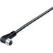 binder 77 3708 0000 50004-0200-20 Connecteur capteur/actionneur, assemblé M8 4 broches femelle, coudé 2 m