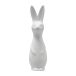 DBKD lapin grand Blanc