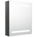 VidaXL Badkamerkast met spiegel en LED 50x14x60 cm grijs