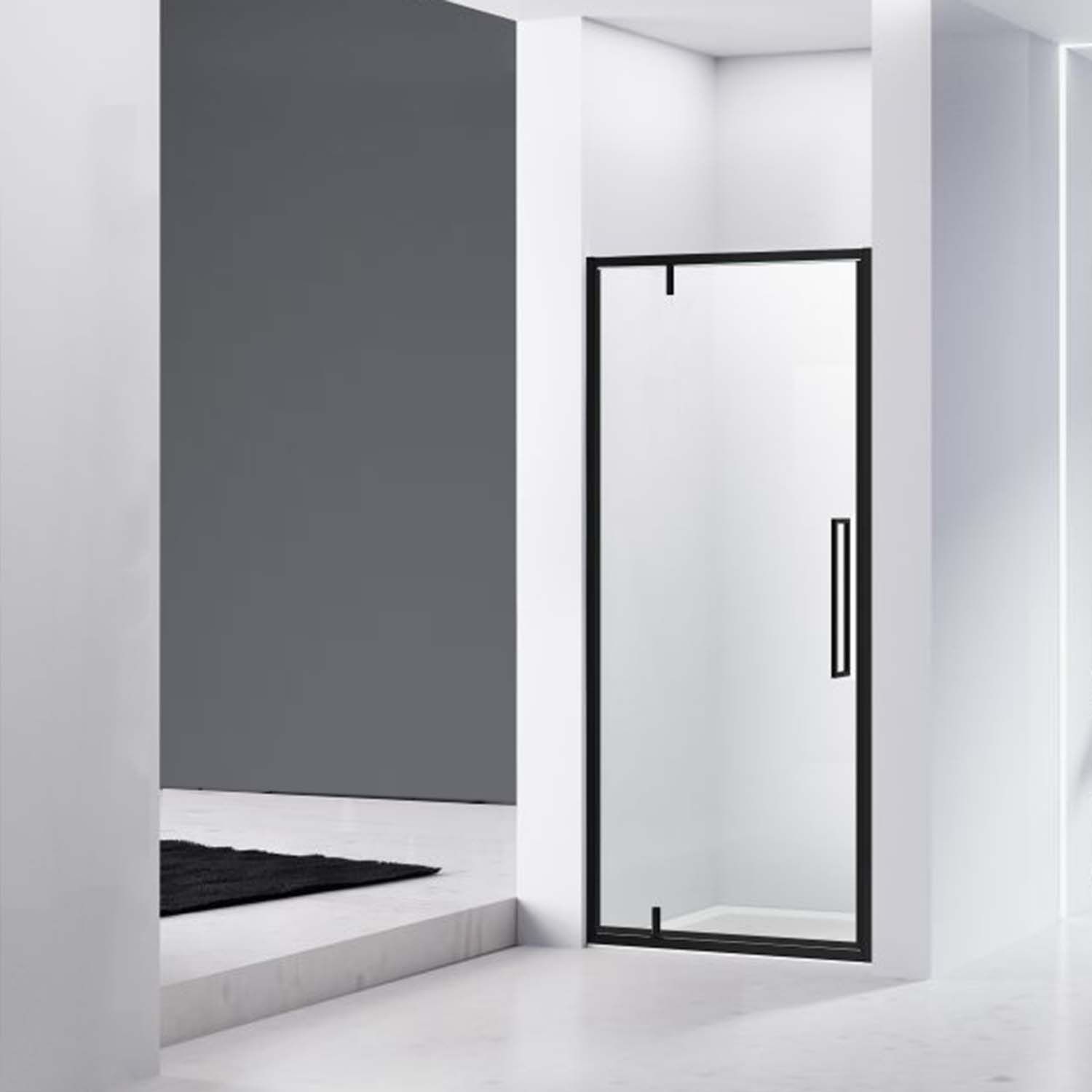 van Rijn Nisdeur ST04 Helder Glas 6 mm - 100x200 cm - Mat Zwart