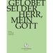 J.S. Bach Stiftung Chor & Orchester Der J.S. Bach-Stiftung, Rudolf Lutz - J.S. Bach: Gelobet Sei Der Herr, Mein Go (DVD)