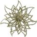 Decoris Kaemingk B.V. 1x stuks decoratie bloemen kerststerren champagne glitter op clip 14 cm