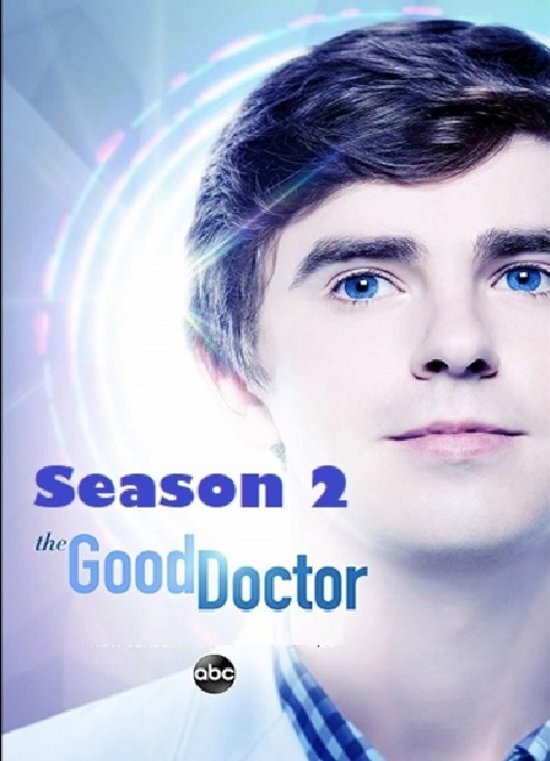 - The Good Doctor - Seizoen 2 dvd