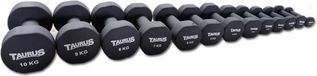 Taurus Neopreen Studio Trainingshalter 1,5 kg