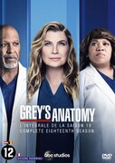 THE WALT DISNEY COMPANY (BENEL grey's anatomy: seizoen 18 - dvd