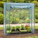 Serre transparente en film avec système de clic - 170 x 80 cm - Serre de jardin, résistant aux UV et aux intempéries