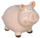 Gerimport Spaarpot Varken - Dieren Thema - 11 x 17 x 14 cm - Roze - Keramiek - Kinderen