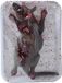 FIESTAS GUIRCA, S.L. Fiestas Guirca Rattentray in tray 19 x 12 cm